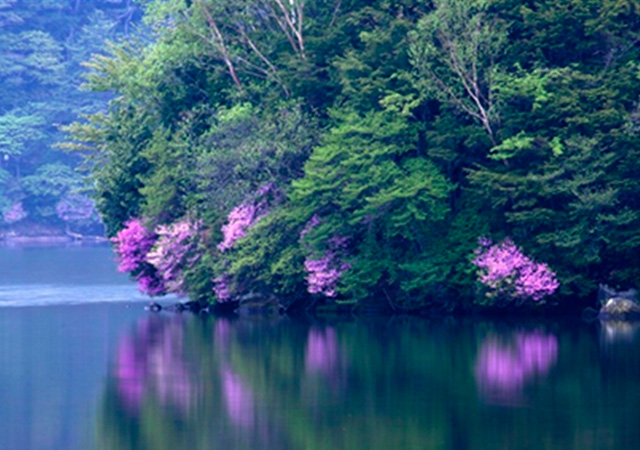 レークセンターひたちや