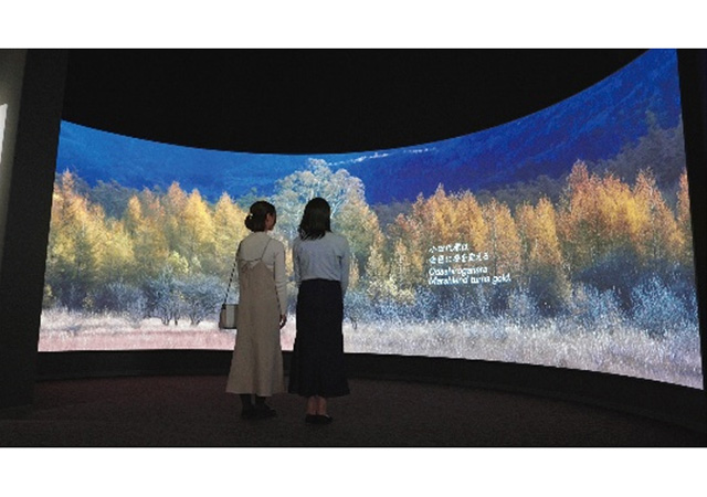 日光自然博物館