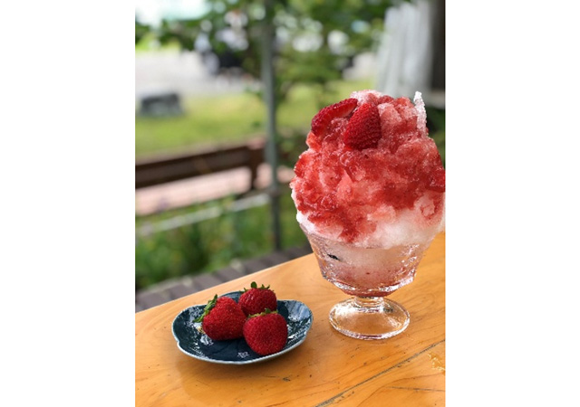 有限会社チロリン村 四代目徳次郎